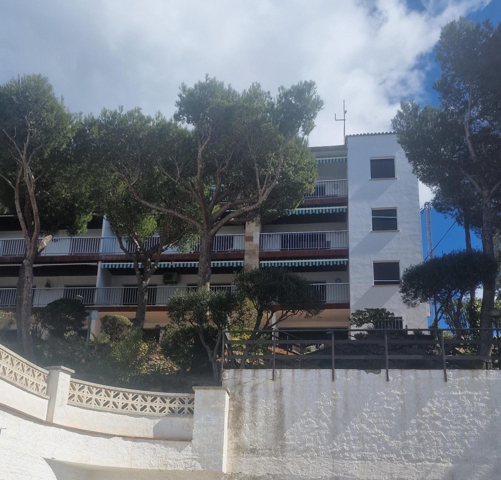 Bernie Apartment Roses Ngoại thất bức ảnh